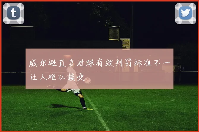 威尔逊直言进球有效判罚标准不一让人难以接受